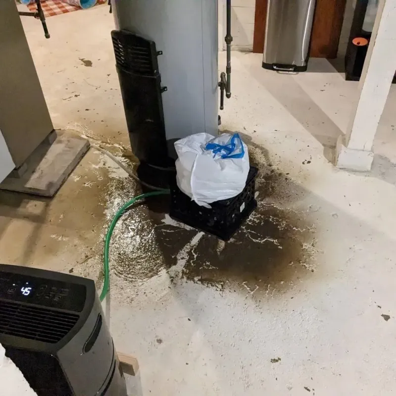 Sewage Backup Cleanup Service in Beverly, NJ